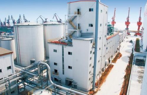 油脂廠有害氣體監測與預防 氣體檢測儀及軟件產品檢驗檢測的關鍵作用